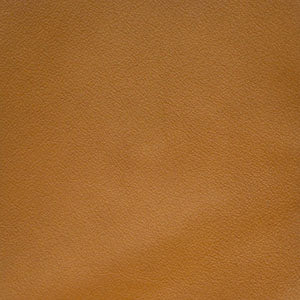 Camaleonda Modular Sofa Premium Reproduction - 2 Seater