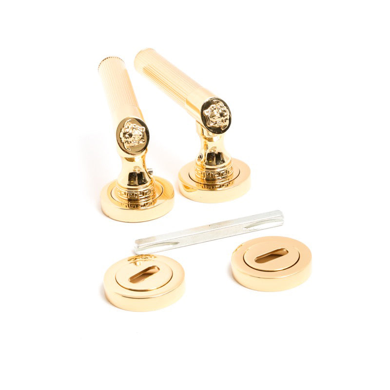 Medusa Classic Door Handles Set - Die Cast Bronze - 24k Gold