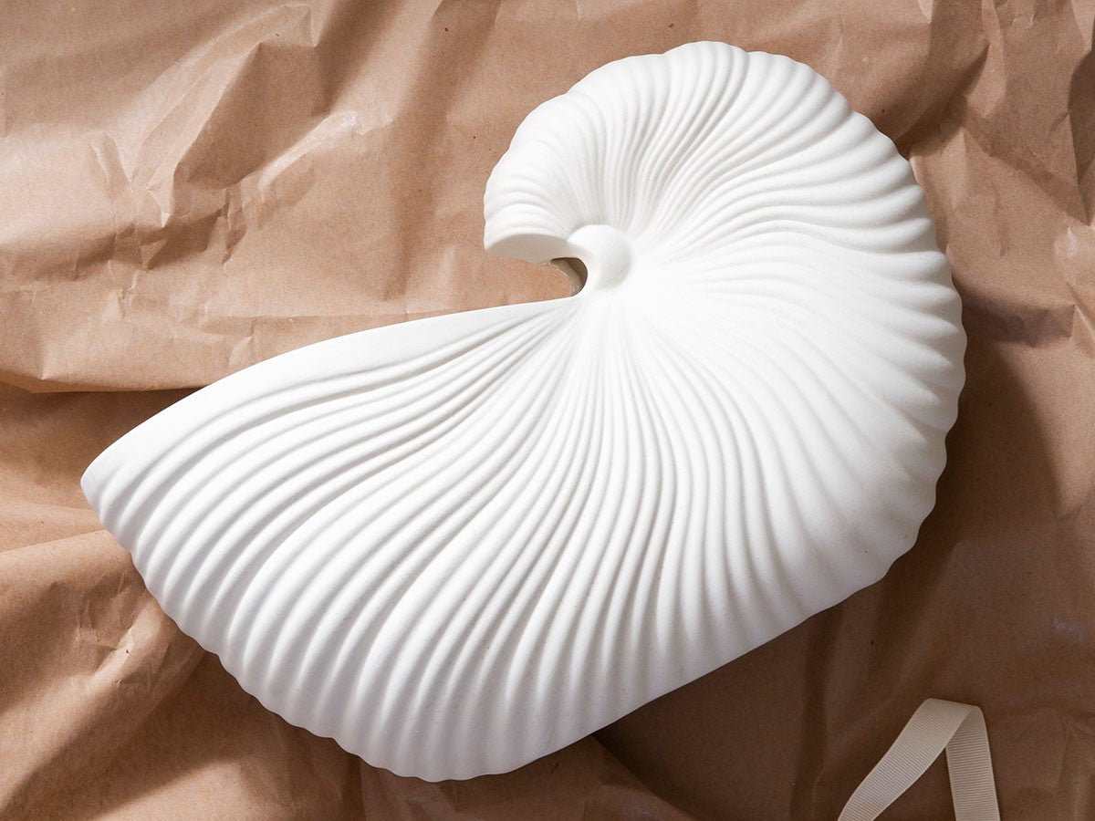 Shell Pot - Off White