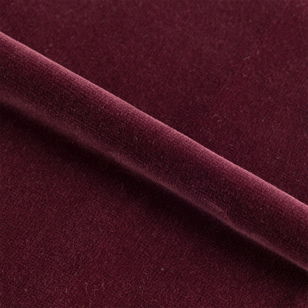 Velvet | Royal Orchid