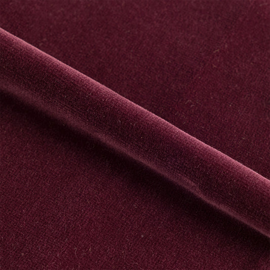 Velvet | Royal Orchid