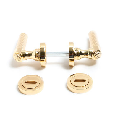 Medusa Classic Door Handles Set - Die Cast Bronze - 24k Gold