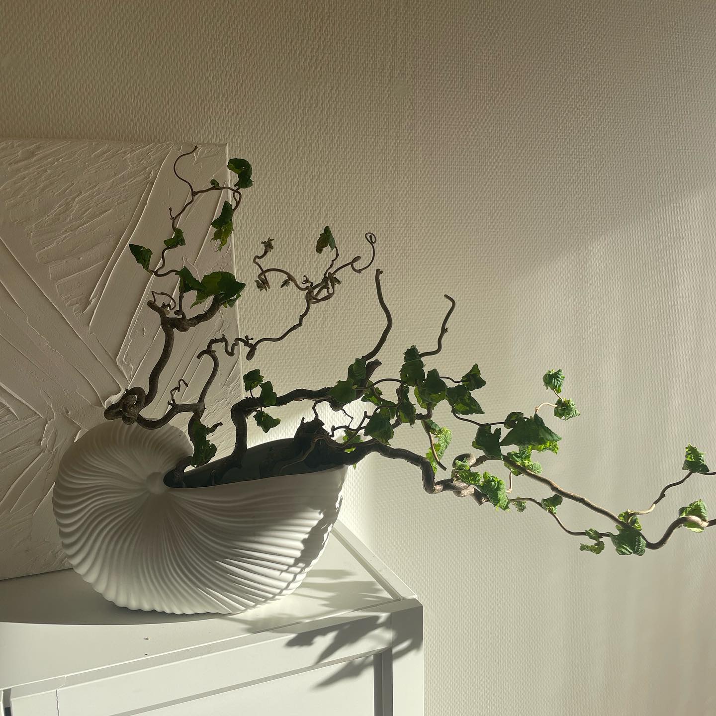 Shell Pot - Off White