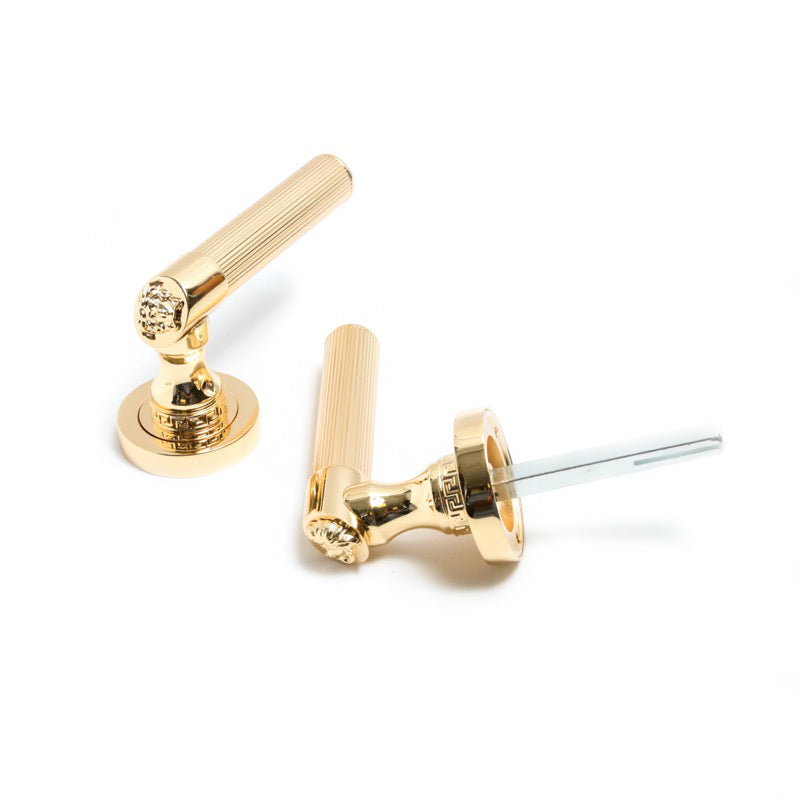 Medusa Classic Door Handles Set - Die Cast Bronze - 24k Gold