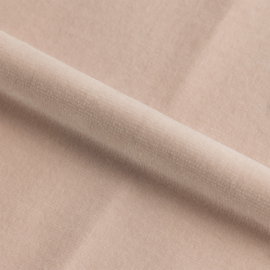 Velvet | Petal