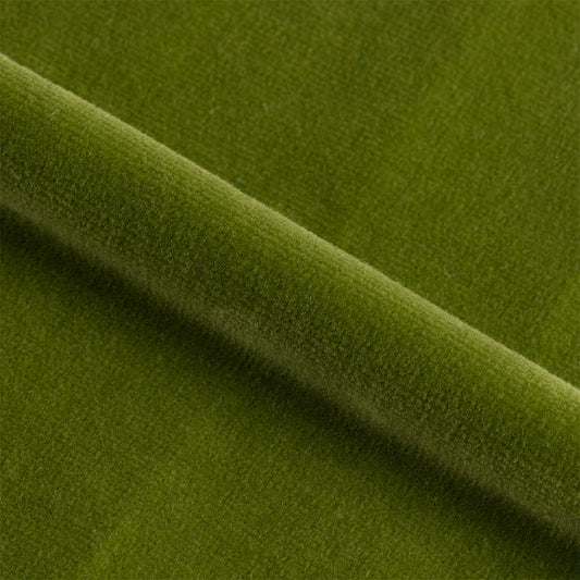 Velvet | Tarragon