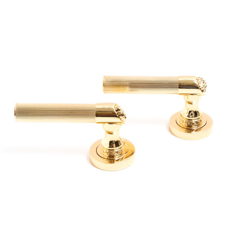 Medusa Classic Door Handles Set - Die Cast Bronze - 24k Gold