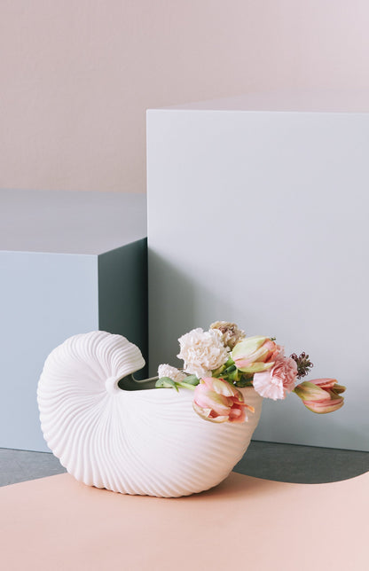Shell Pot - Off White