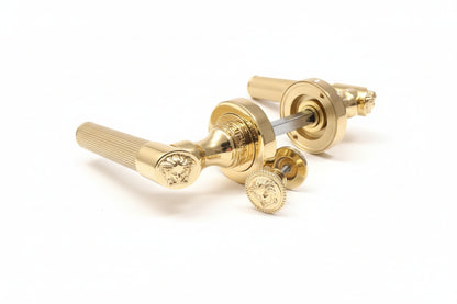 Medusa Classic Door Handles Set - Die Cast Bronze - 24k Gold