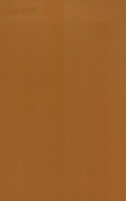 Agera Chair - Swivel Base With Castors