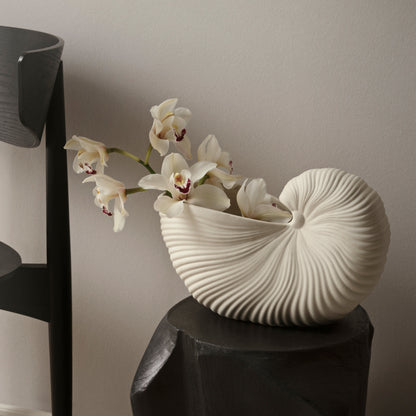 Shell Pot - Off White